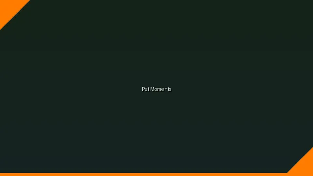 萌宠时刻主题赛 - 51今日黑料 UGC视频竞赛